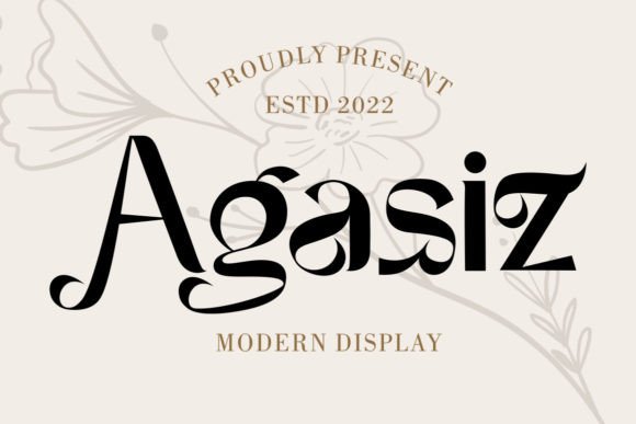 Agasiz Font Review: Modern Display Typography
